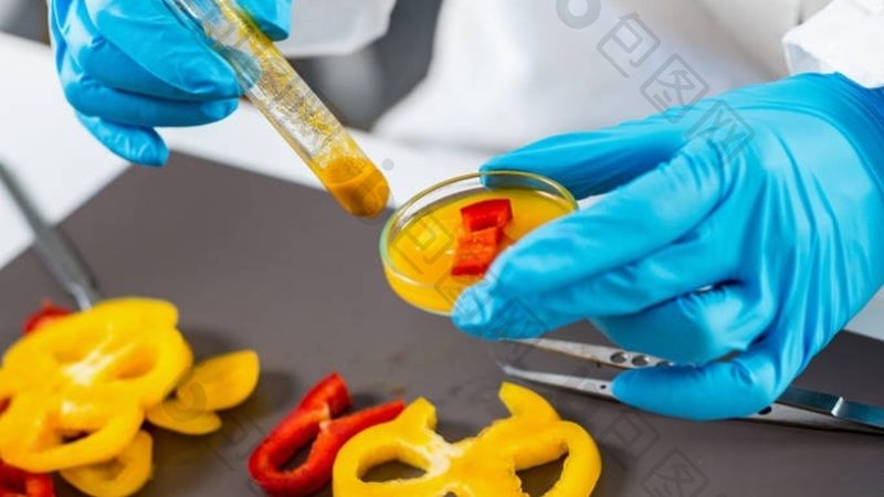 食品加工厂选址：如何规避风险，打造优质生产线**